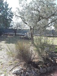 terreno in vendita a Trevi, strada comunale dei Renacci